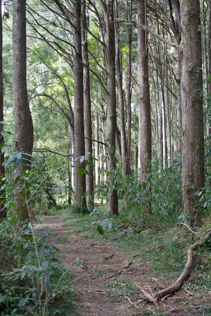 Poroti 2015-04-07: 88